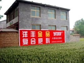 兴山如何让墙体广告展现最大化效果