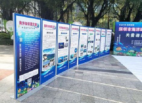 兴山KT板的种类和知识。